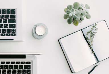 今期生肖发金光打一肖、采民作答落实解释