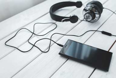 暴跳如雷打一生肖、的不安分之选